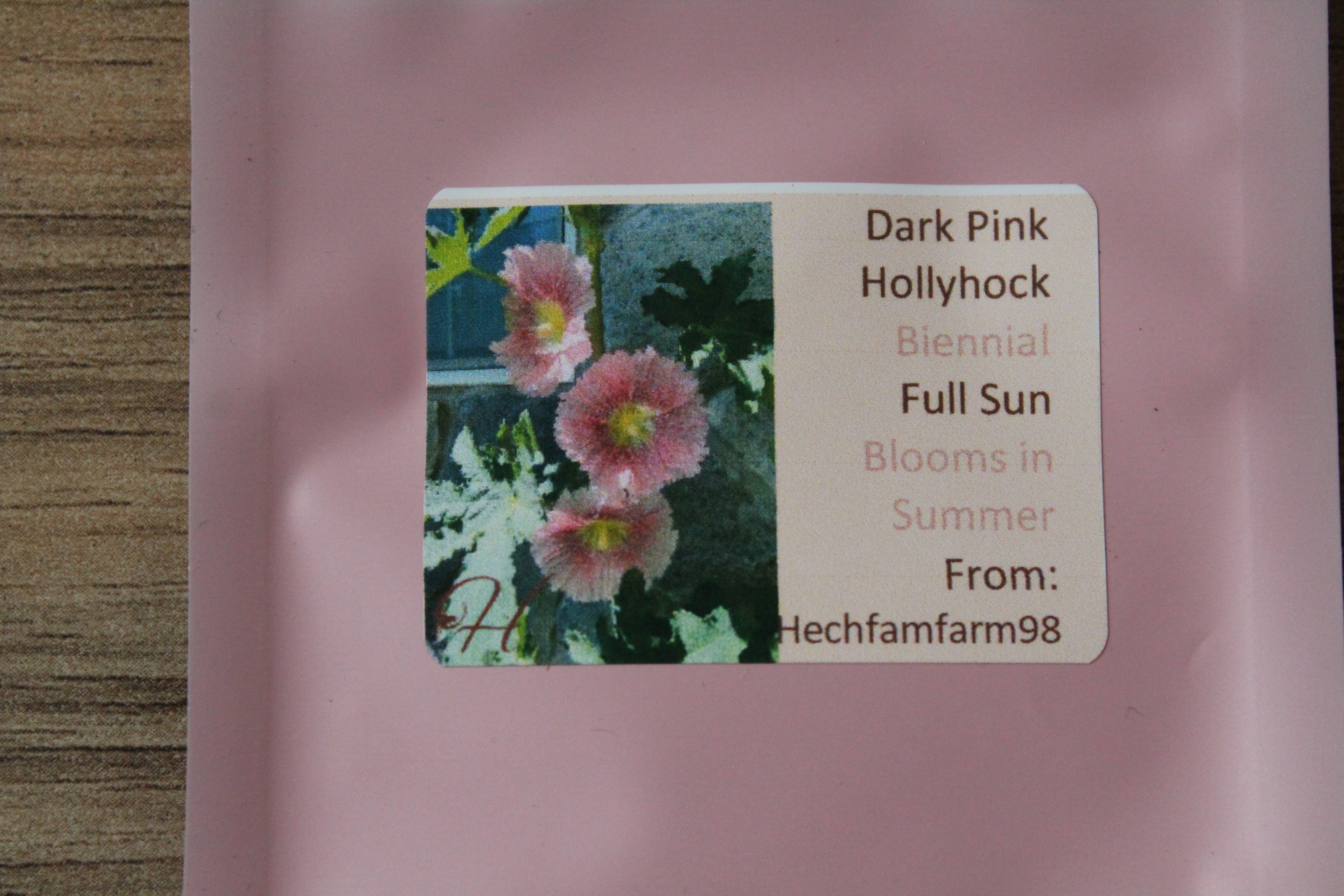Hollyhock Seeds - Dark Pink