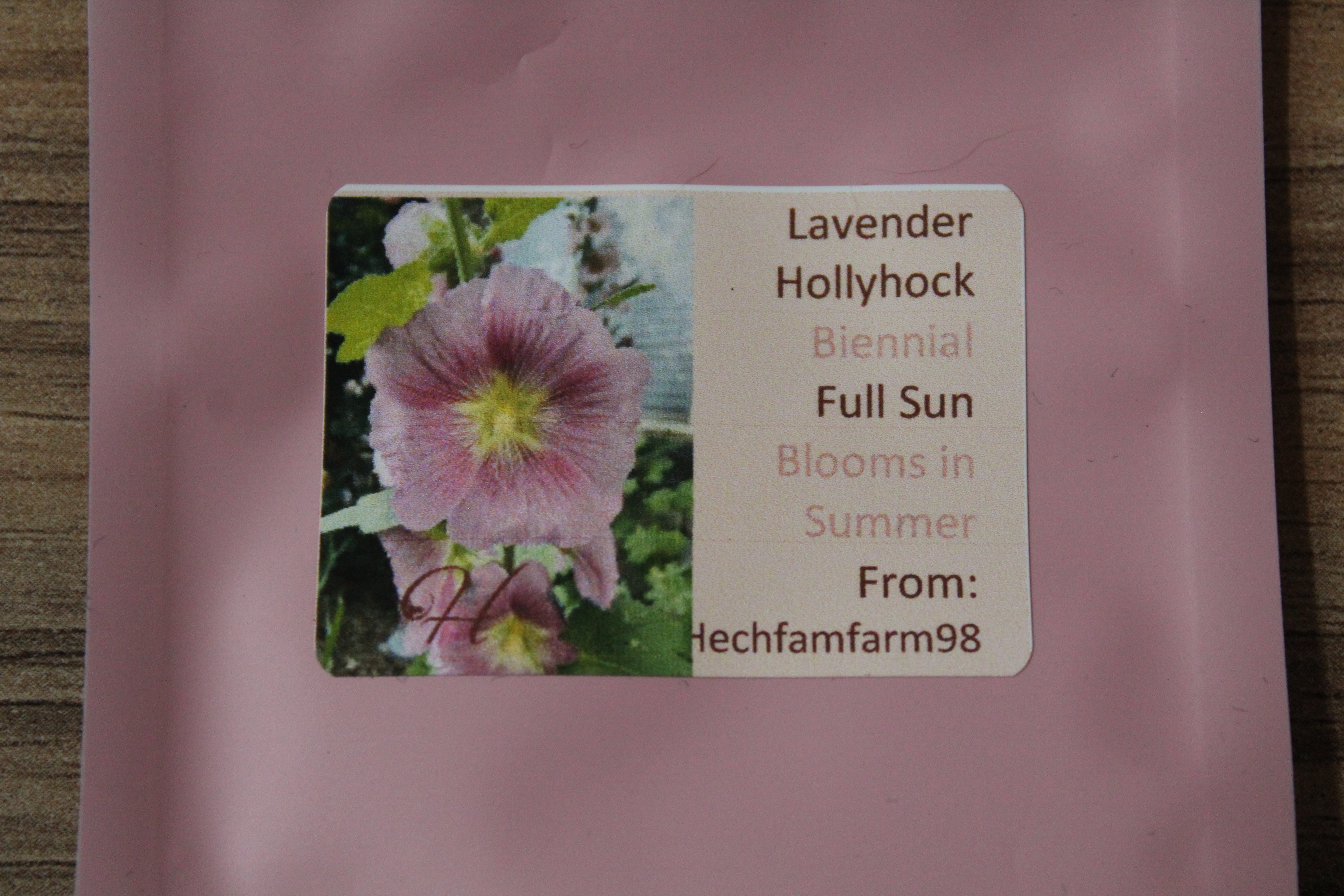 Hollyhock Seeds - Lavender