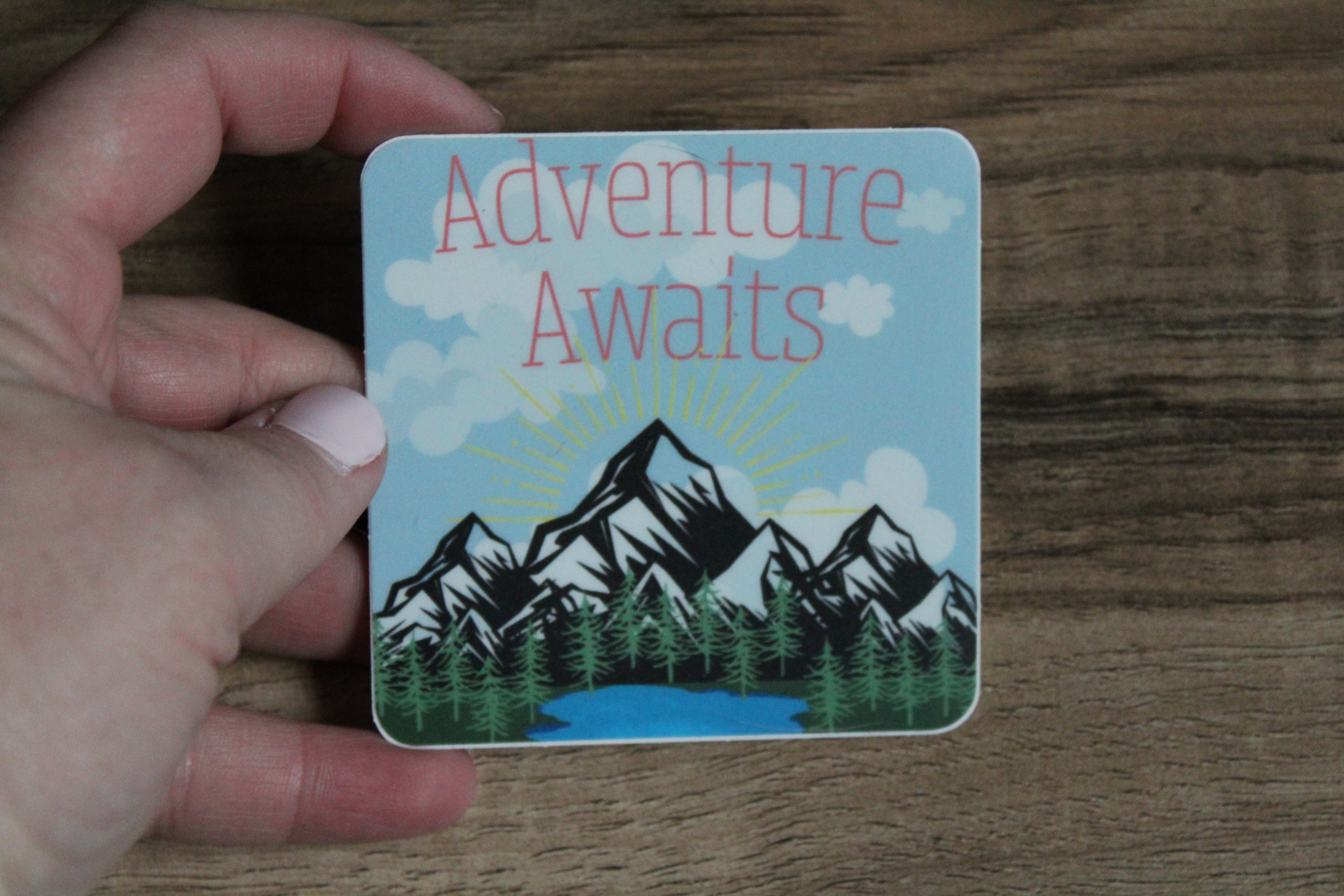 Adventure Awaits Vinyl Sticker